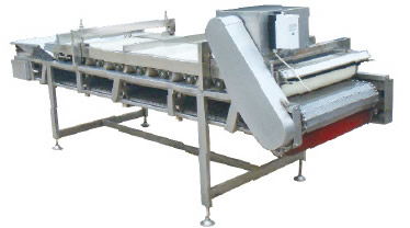 陽泉清洗機 魚類清洗設備 豐創(chuàng)食品機械